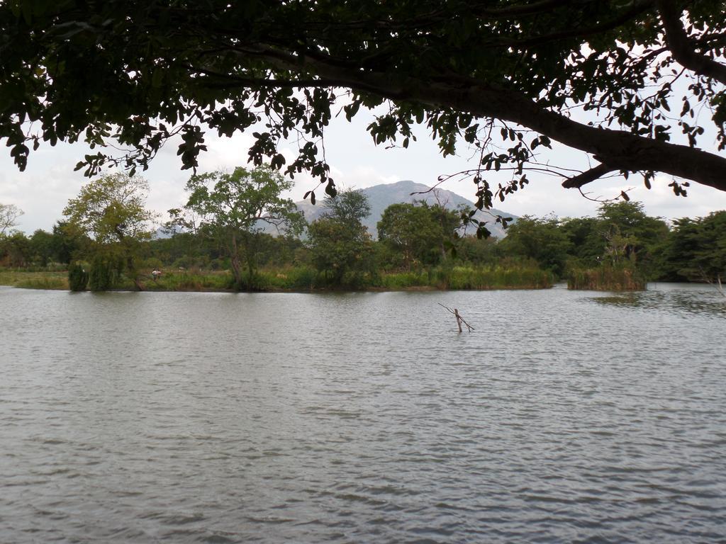 Mps Village Dambulla Buitenkant foto