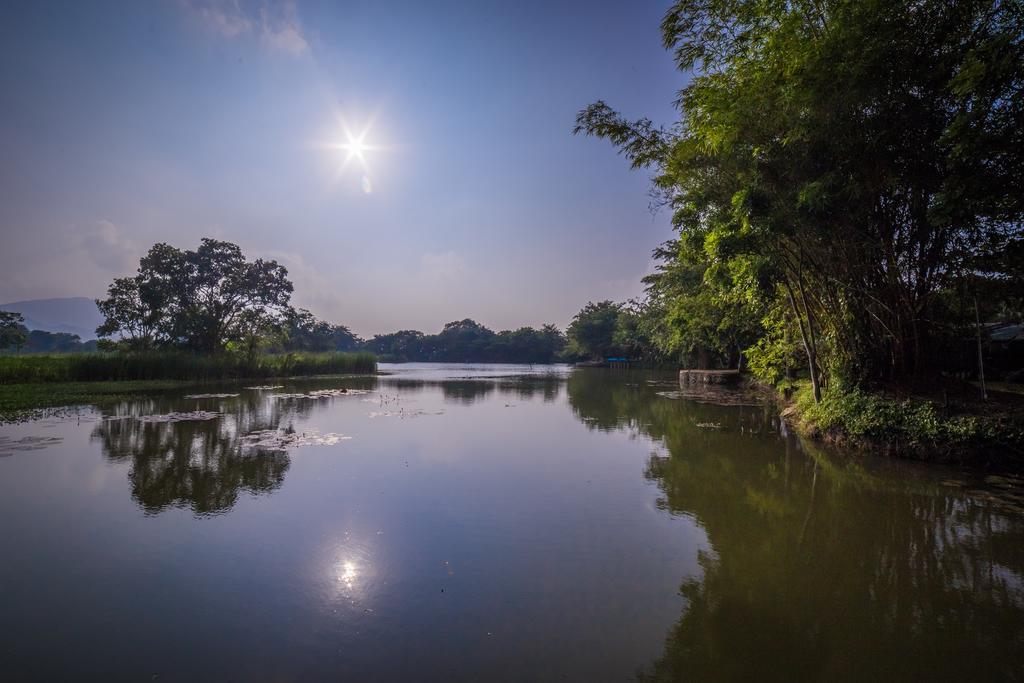 Mps Village Dambulla Buitenkant foto
