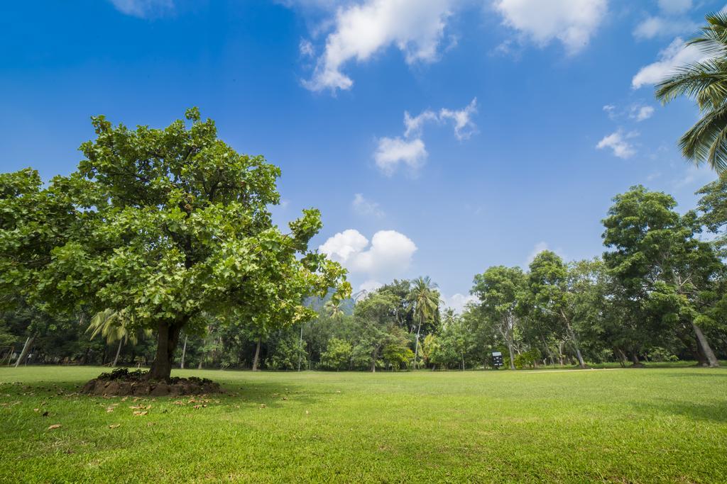 Mps Village Dambulla Buitenkant foto